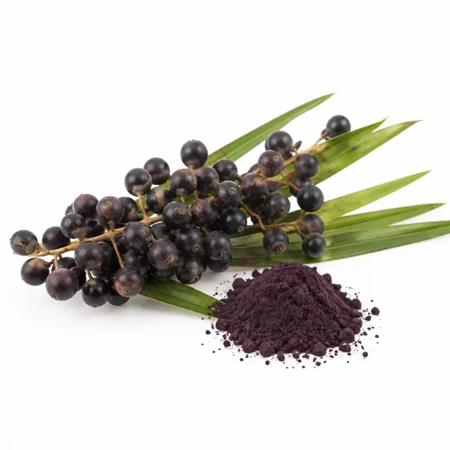 Acai Powder freeze-dried Organic