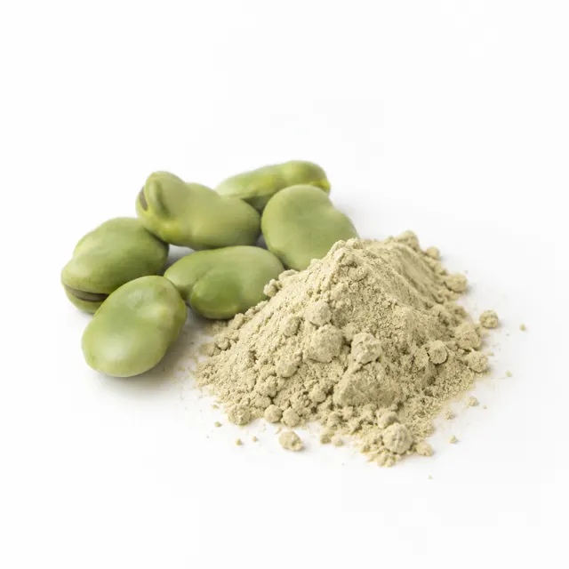 Fava Bean Protein Powder Organic (60% Protein)